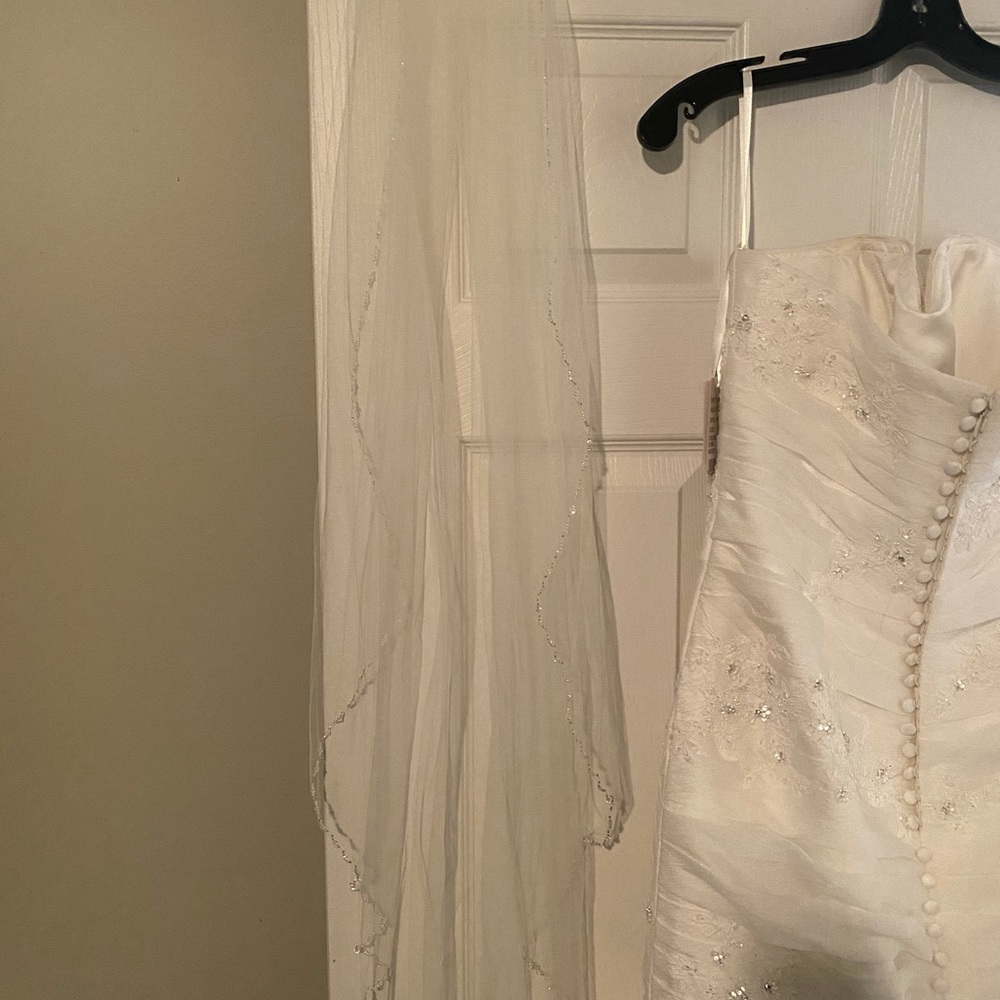 Gorgeous Wedding dress and veil, never worn